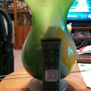 Beautiful Huge Blown Glass Art Flower Vase